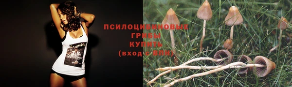 гидропоника Богданович