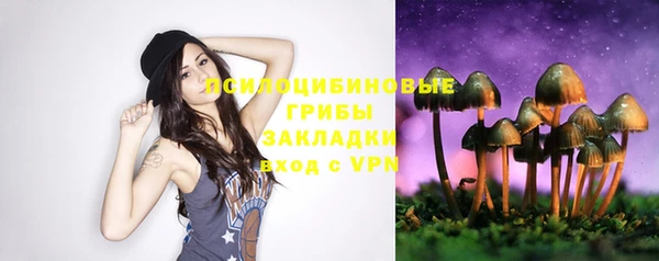 марки lsd Богородицк
