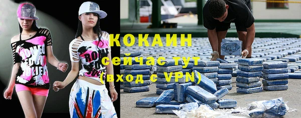 гидропоника Богданович