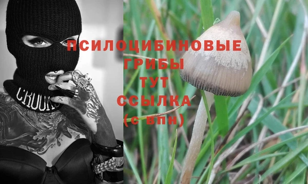 марки lsd Богородицк