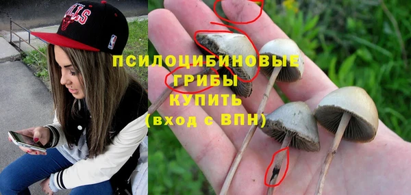 гидропоника Богданович
