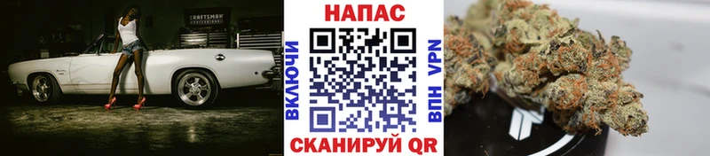 Конопля гибрид  Купить где  Короча 